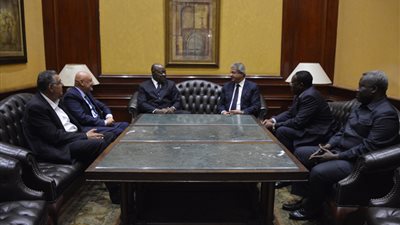 وزير الرياضة يلتقي نظيره الكاميروني لبحث التعاون المشترك