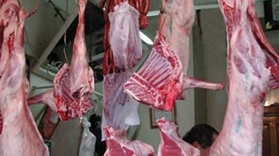 إنشاء منافذ لبيع اللحوم البلدية بأسعار مخفضة في 