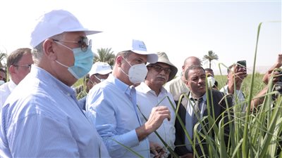 البنك الزراعي يطلق مبادرة لتمويل إنشاء حقول استرشادية للري الحديث بالصعيد