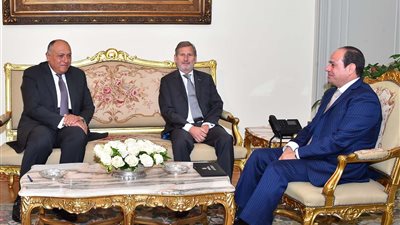 السيسي يبحث مع المفوض الأوروبي تعزيز أوجه التعاون