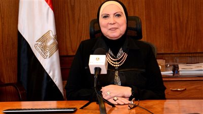 إعادة تشكيل الجانب المصري في مجلس الأعمال المصري النيجيري