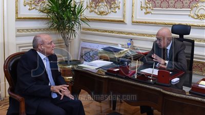 رئيس الوزراء: إنشاء مصنع لإنتاج الخلايا الضوئية لخدمة المحطات الشمسية