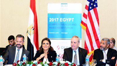 وزيرة الاستثمار تبحث مع 