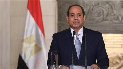 السيسي: ميكنة الإجراءات الضريبية والجمركية بحلول مارس 2022