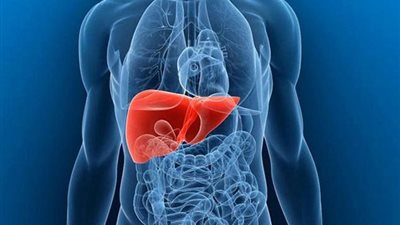 طبيب فرنسي: مسح أشعة الإيكو ضروري لمرضى 