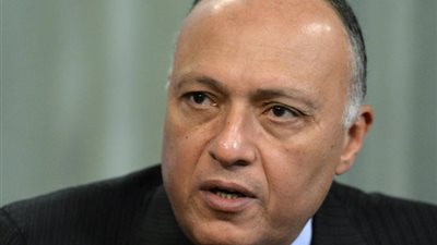 وزير الخارجية يعقد لقاءات ثنائية على هامش الاجتماع الدولي حول سوريا