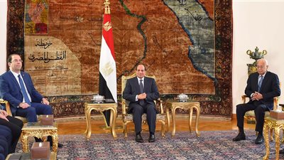 السيسي يبحث سبل التعاون المشترك مع رئيس الحكومة التونسية (صور)