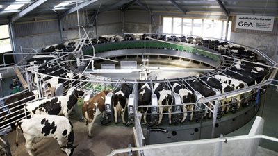 روسيا وإيران تناقشان تجارة اللحوم ومنتجات الألبان