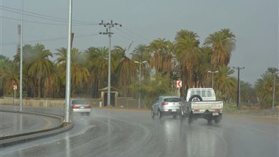 الأرصاد: سقوط أمطار اليوم على السواحل الشمالية والقاهرة