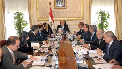 الحكومة تشدد على تذليل معوقات المشروعات الزراعية