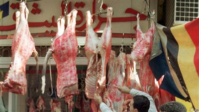 طرح 2100 كيلو من اللحوم بسعر 35 جنيه بمركز مطاي في المنيا