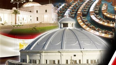 خبير دستوري: نائب البرلمان من حقه الانضمام لحزب آخر دون إسقاط عضويته