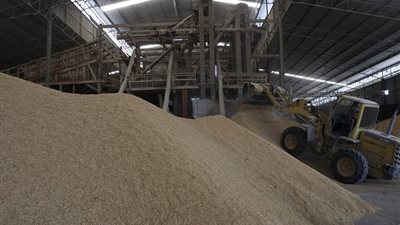 مصر تسعى لتقليل فاقد الحبوب لأدنى من 5% سنويا