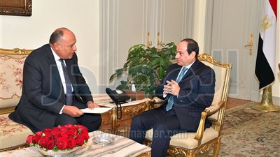 السيسي يبحث مع 