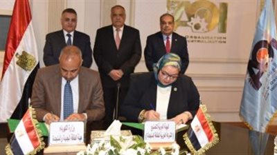 «العربية للتصنيع» تُنشئ محطة طاقة شمسية في إريتريا بـ8 ملايين دولار