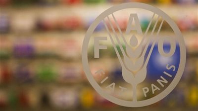 شراكة بين منظمة 