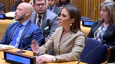 مصر تشارك بإطلاق التحالف العالمي للمستثمرين في التنمية