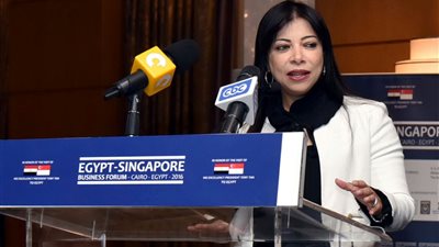 اليوم.. الاجتماع الأول للمجلس الأعلى للاستثمار