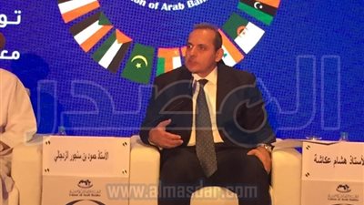 هشام عكاشة: 3 تريليون دولار أصول البنوك العربية