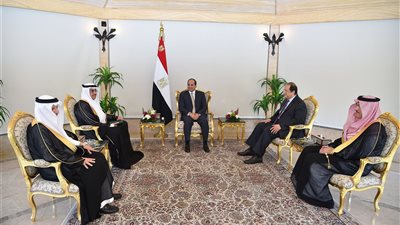 السيسي يتسلم رسالة من الملك سلمان بن عبد العزيز