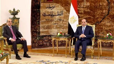 السيسي يبحث مع رئيس مجلس النواب القبرصي تعزيز التعاون