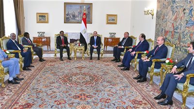السيسي يبحث مع رئيسي جنوب أفريقيا والصومال الأوضاع في السودان وليبيا