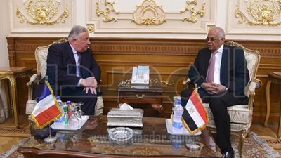 علي عبد العال يستقبل رئيس مجلس الشيوخ الفرنسي 