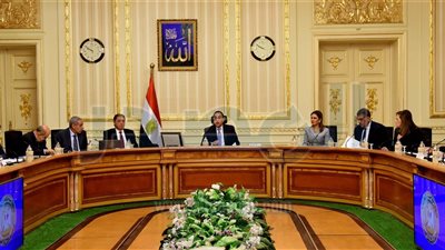 اللجنة الوزارية الاقتصادية تبحث اقامة منطقة حرة بمحافظة المنيا