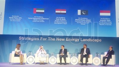 وزير البترول: اكتشافات الغاز بالمتوسط تحقق الاكتفاء الذاتي بحلول 2021