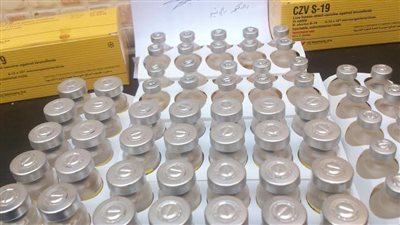 وزارة الزراعة تصدر قرارا بتحديد أسعار عدد من اللقاحات البيطرية