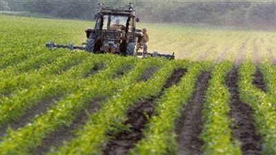 مصدر: إطلاق مشروع الـ1,5 مليون فدان قبل نهاية ديسمبر