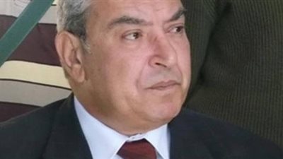 محافظ المنيا الجديد: 