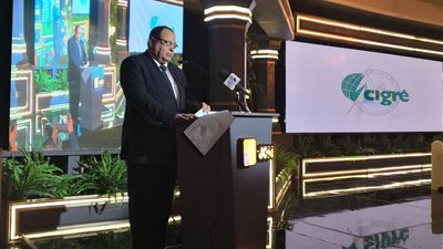 «الكهرباء» تبحث تبادل الخبرات مع السويد في مجال العدادات الذكية