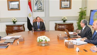 السيسي يستعرض تطورات الربط الكهربائي الإقليمي والدولي