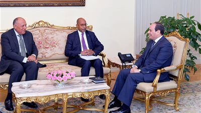 السيسي يبحث مع مدير «النيباد» دعم مبادرات التكامل الاقتصادي بأفريقيا