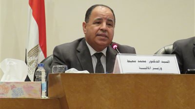 «المالية»: الانتهاء من تطوير المصالح الإيرادية قبل يونيو 2020