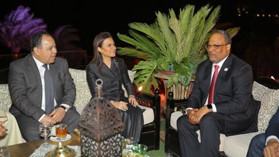 «الجنيبي»: 6,6 مليار دولار حجم الاستثمارات الإماراتية في مصر