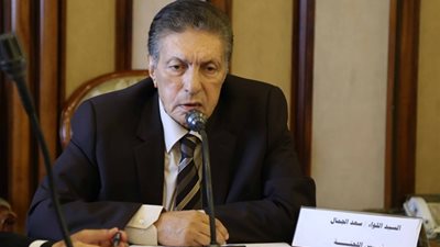 النائب سعد الجمال: ناقشنا مع رئيس الوزراء مشكلة أهلنا بالنوبة