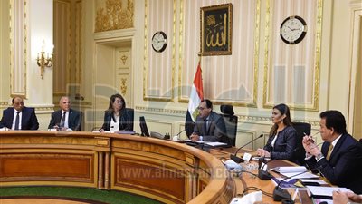رئيس الوزراء يبحث الموقف التنفيذي لمشروعات التنمية بسيناء 