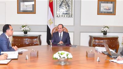 السيسي يوجه الحكومة بسرعة تطبيق التحول الرقمي والشمول المالي