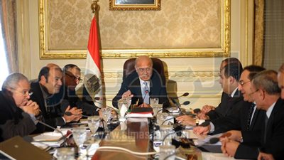 المجموعة الاقتصادية تقرر دعم محصول القطن بـ300 مليون جنيه