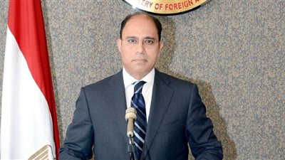 مصر تطرح عددًا من المبادرات لتهدئة الأوضاع في المنطقة