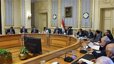 تشكيل لجنة وزارية لدراسة حالات الشركات المردودة إلى الدولة