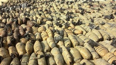 الداخلية : ضبط سيارة نقل محملة بـ 7 أطنان من مخدر البانجو بسيناء