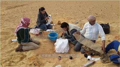 البيئة: بعثة استكشافية لاستخراج حوالي 93  من الحفريات  بالفيوم 