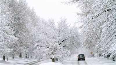 عاصفة ثلجية ورياح وأمطاررعدية تضرب أنحاء فلسطين 