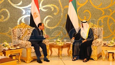 وزيرالخارجية الاماراتى : قوة مصرالإقليمية تنعكس على إستقرارالمنطقة العربية 