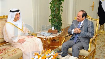 صور: السيسي يلتقي وزير الخارجية الإماراتي