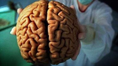 دراسة: مخ الإنسان يحتاج لـ40 مادة لا يستطيع الجسم توفيرها
