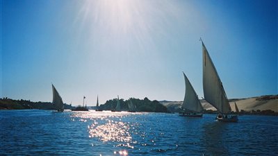 رئيس قطاع مياه النيل يشدد على التزام مصر والسودان باتفاقية 1959